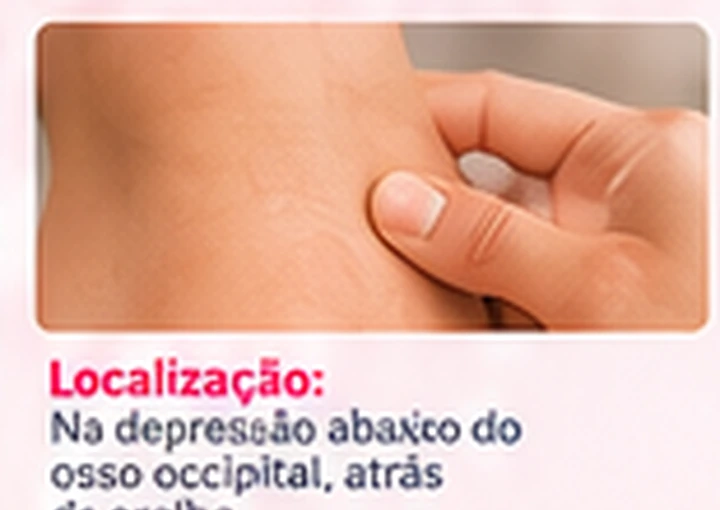 Imagem ilustrativa da região anatômica do ponto ANMIAN, com marcação vermelha